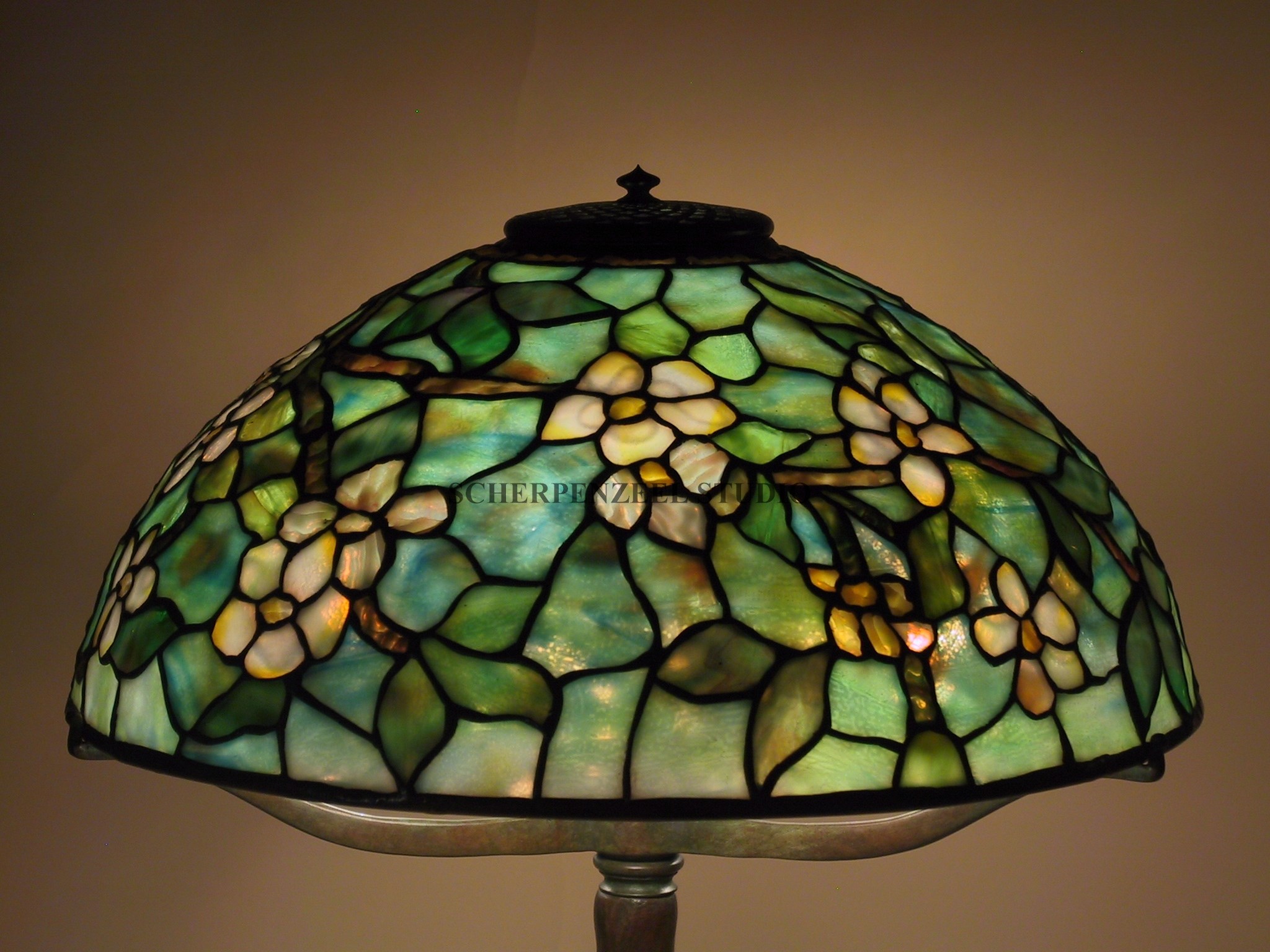 Apple Blossom on shade