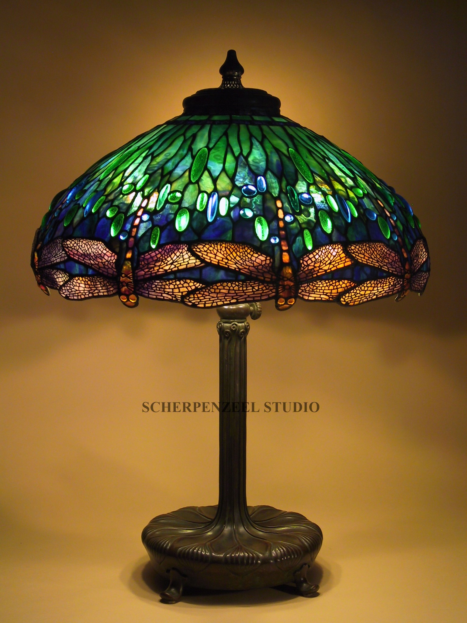 Dragonfly on large Library base