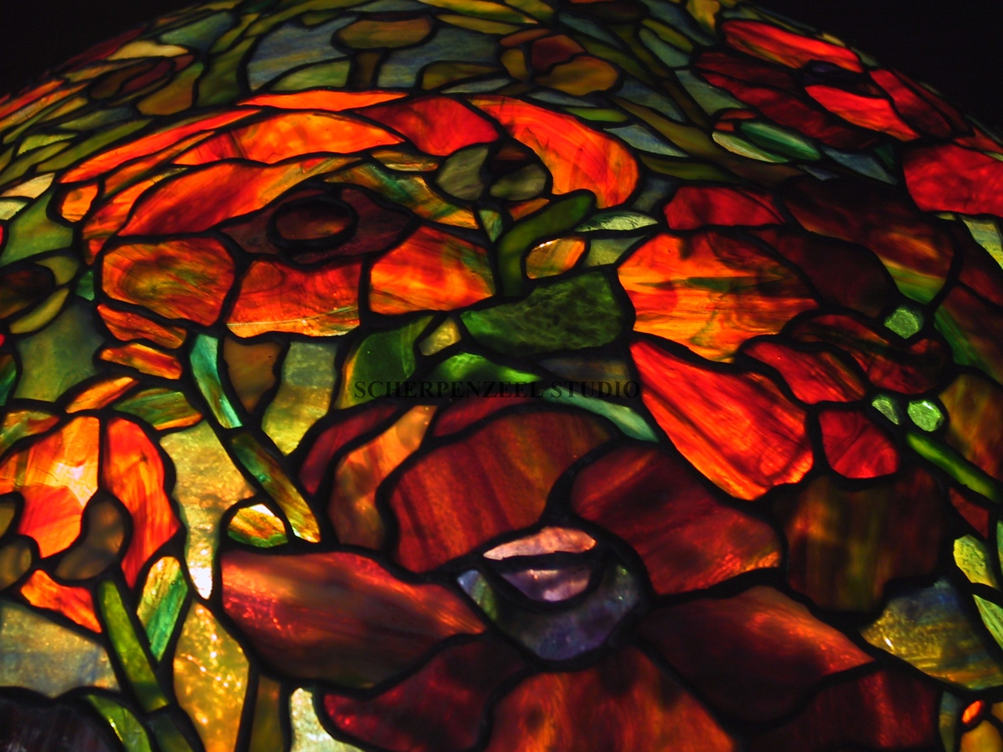 Oriental Poppy detail 1