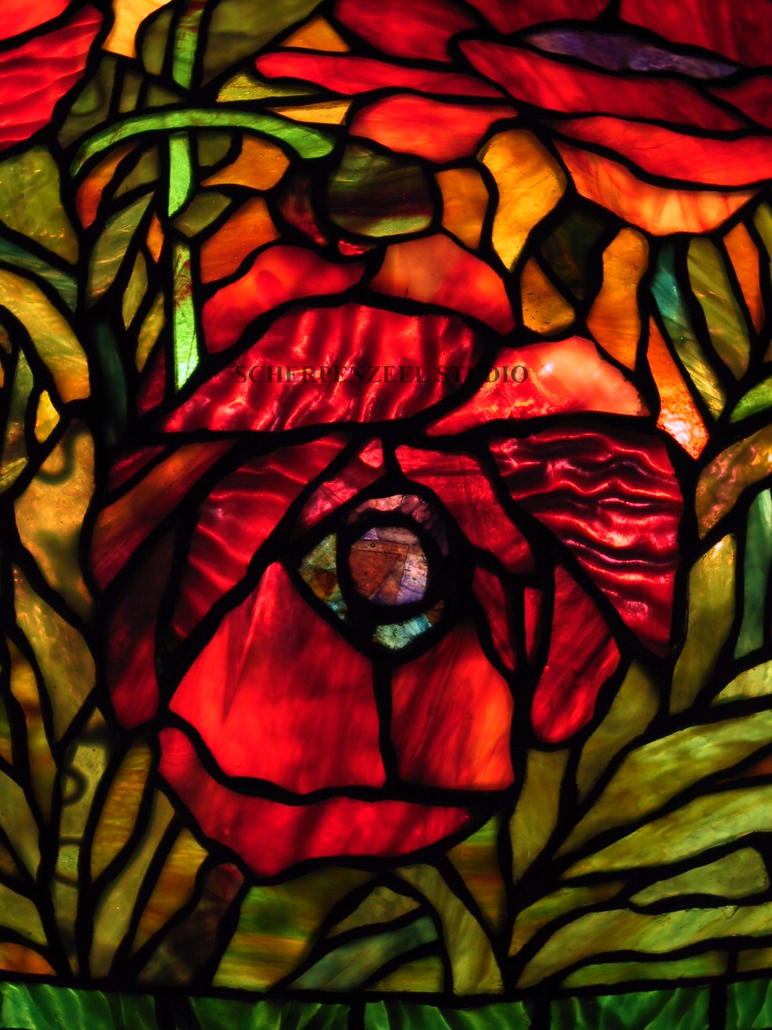 Oriental Poppy detail 2