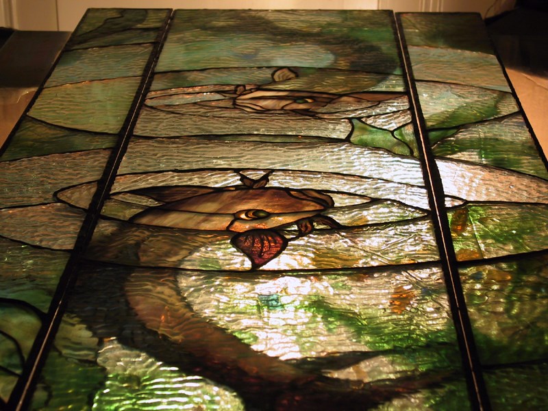 Fish window
