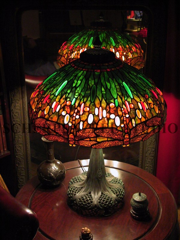 Dragonfly on perforated extension