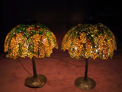 two 22" Laburnums