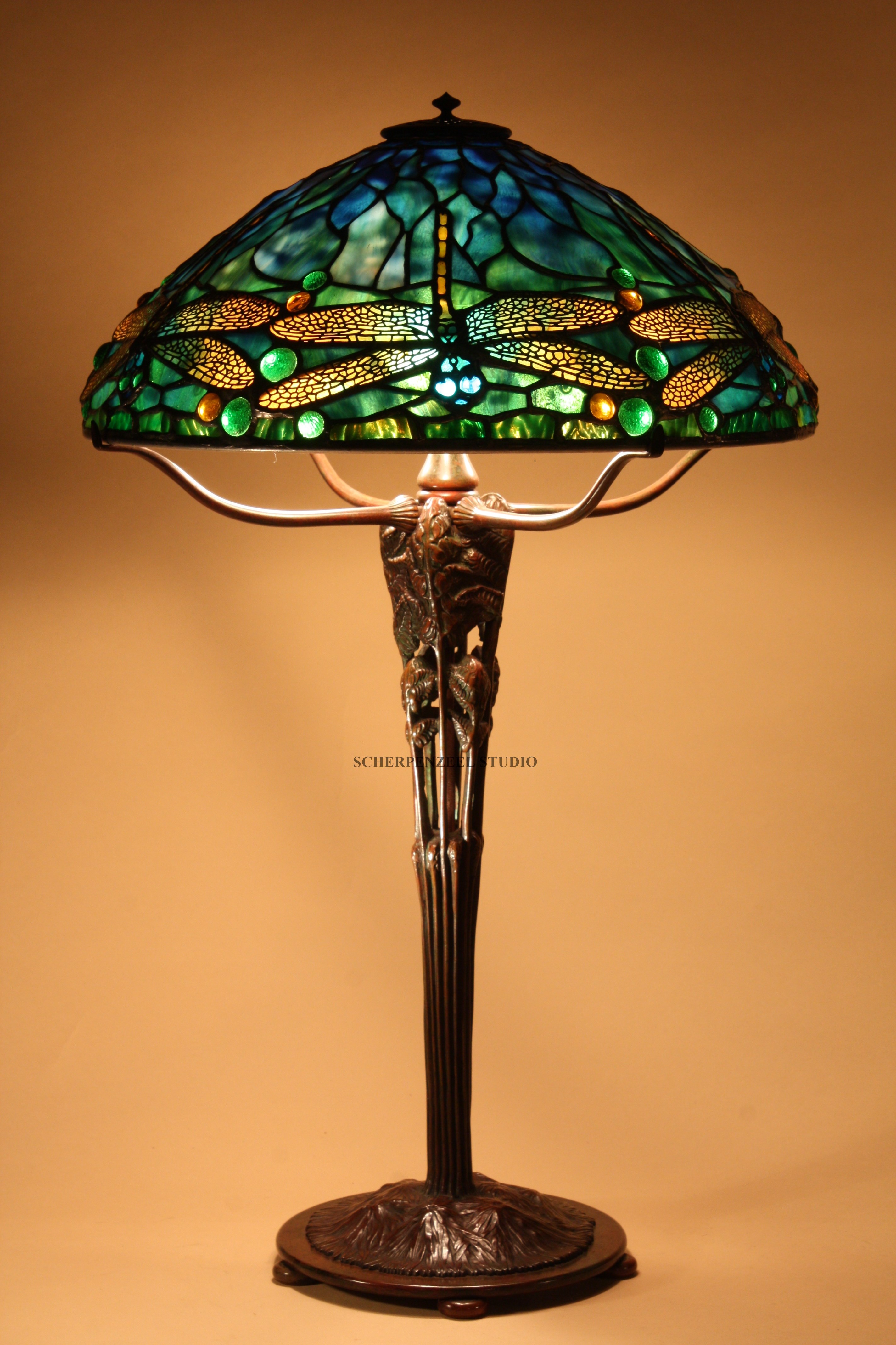 Dragonfly on Fern base